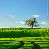 快‍速‌缓‌冲‍存‌储‌器﻿